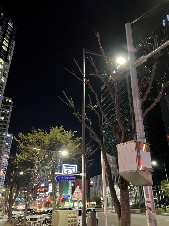 '아이폰SE 3세대'로 찍은 야간 사진. 김나인 기자